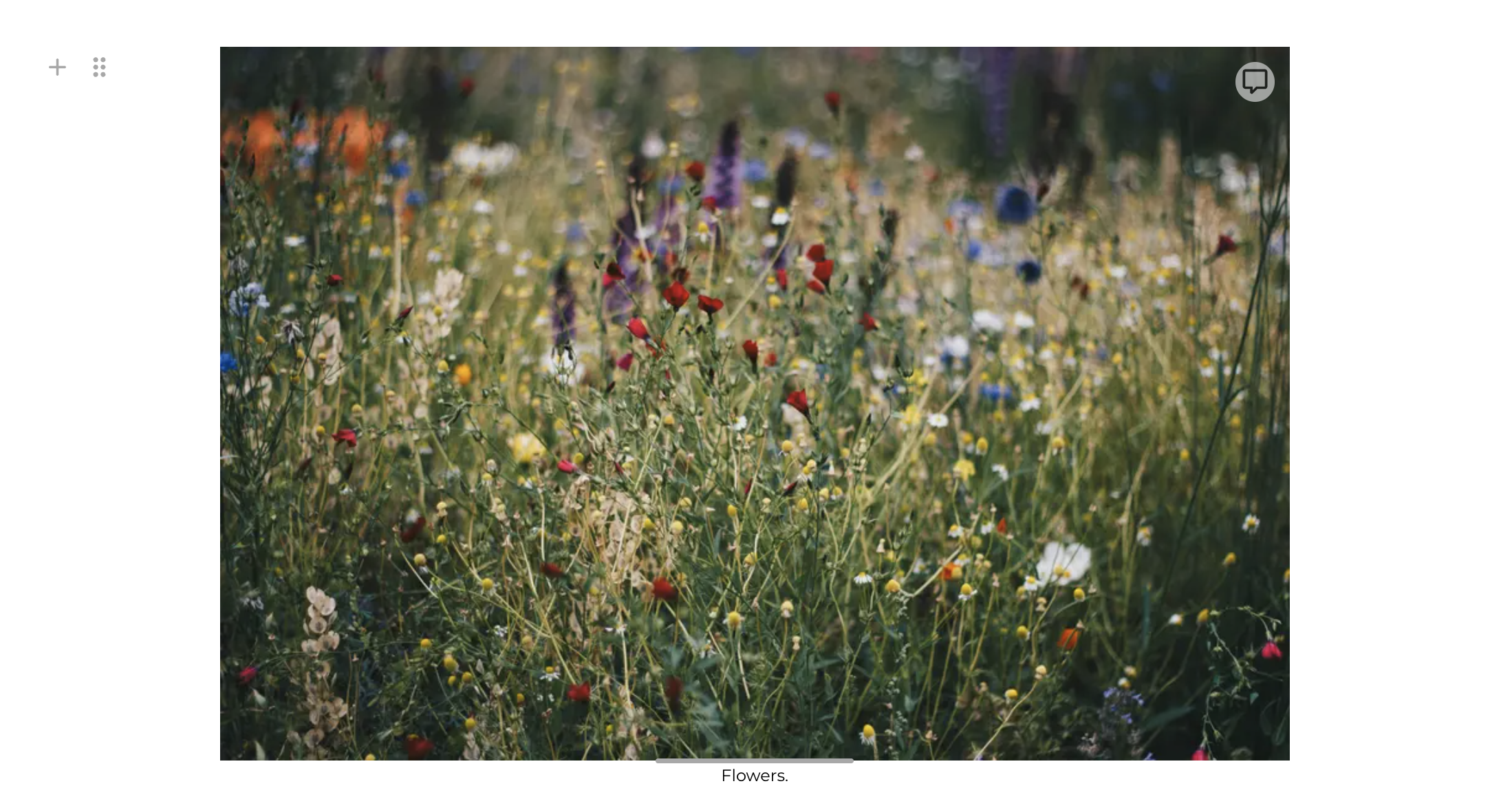 Screenshot 2025-05-19 at 9.43.30.png